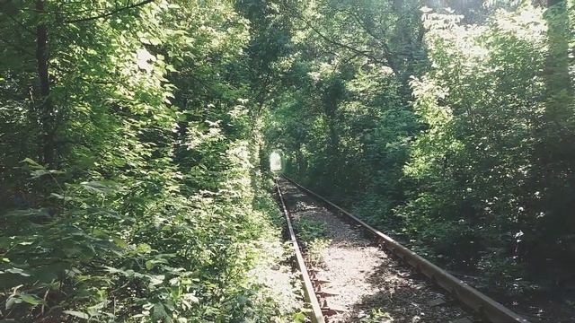 Кривой Рог. Тоннель любви смотреть онлайн