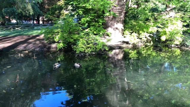 PARCO SEMPIONE SEE THE AMAZING PARK IN MILAN -SUMMER смотреть онлайн