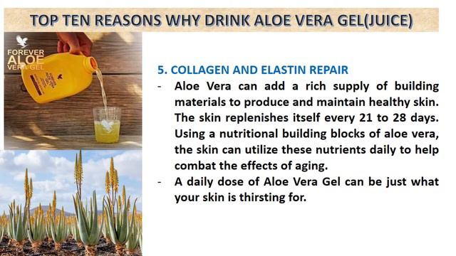 TOP TEN REASONS WHY DRINK ALOE VERA GEL смотреть онлайн