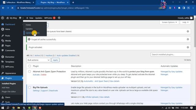 How to Disable WordPress Plugin Automatic Updates 2024 смотреть онлайн