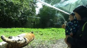 Катя и Макс в зоопарке