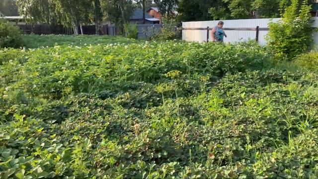 ВЛОГ/МАРИНУЕМ ШАШЛЫК/КУПАЕМСЯ НА ОЗЕРЕ/ 1 АЯ ЧАСТЬ смотреть онлайн