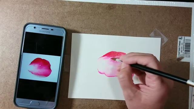 Painting a Pink Rose Petal in Watercolor смотреть онлайн