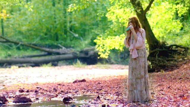 The Legend of Ashitaka - Princess Mononoke on STL Water Ocarina смотреть онлайн