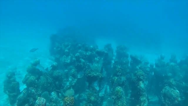 Cancun Underwater Museum