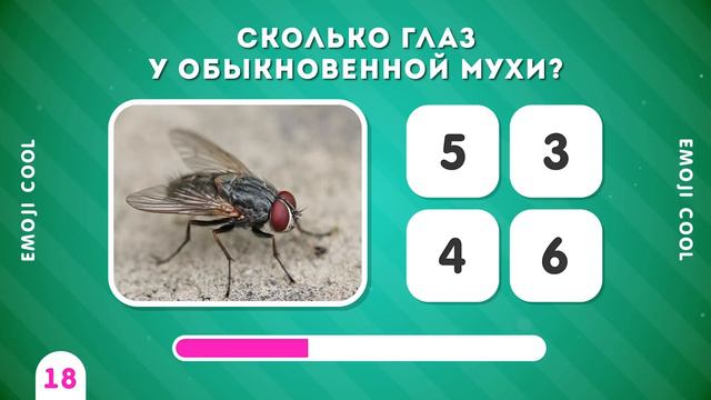 СКОЛЬКО..._ ТЕСТ НА ЭРУДИЦИЮ - ВИКТОРИНА ПРО ЧИСЛА - EMOJI COOL 😎