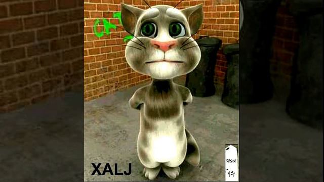 Смешной Кот Том(Talking Tom Cat) игра для детей