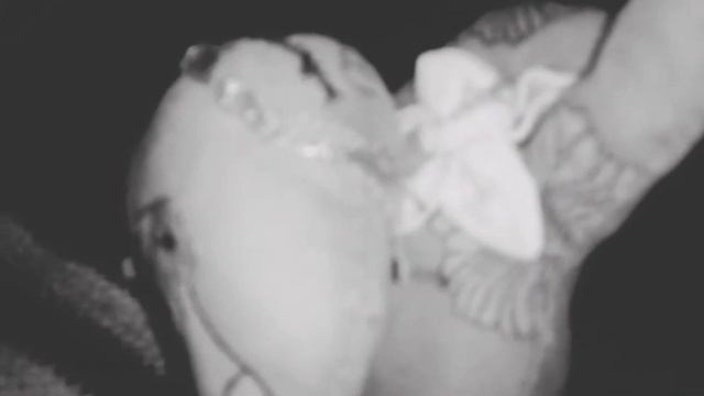 5 звездочный отель😈1 часть смотреть онлайн