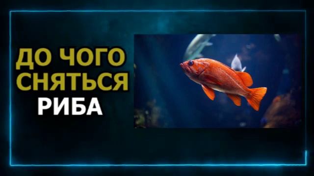 ДО ЧОГО СНИТЬСЯ РИБА - сниться риба жарена смотреть онлайн