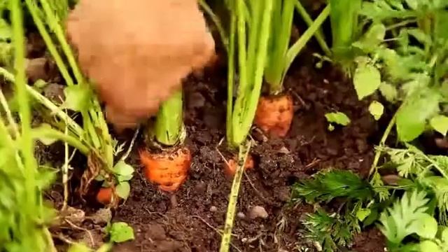 Power Up Start Smart Unit 3 Food shopping All video смотреть онлайн