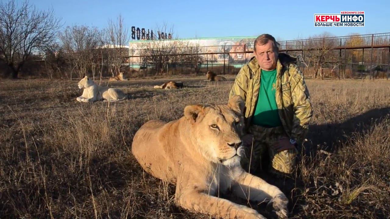 Олег Зубков сообщил о возможном закрытии парка львов “Тайган” смотреть онлайн