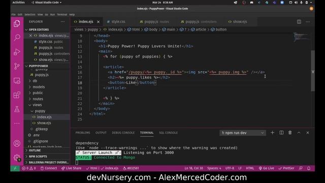 AM Coder - Express/EJS PuppyPower Build #3 - Show Route смотреть онлайн