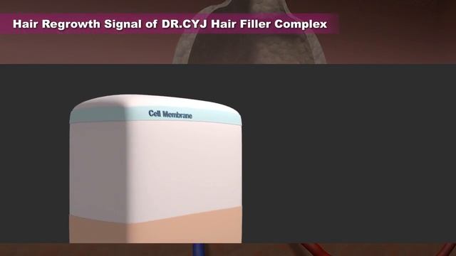Механизм действия DR CYJ Hair Filler смотреть онлайн