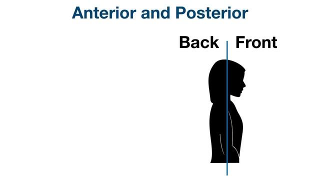 Anatomical Position And Directional Terms [Anatomy MADE EASY]