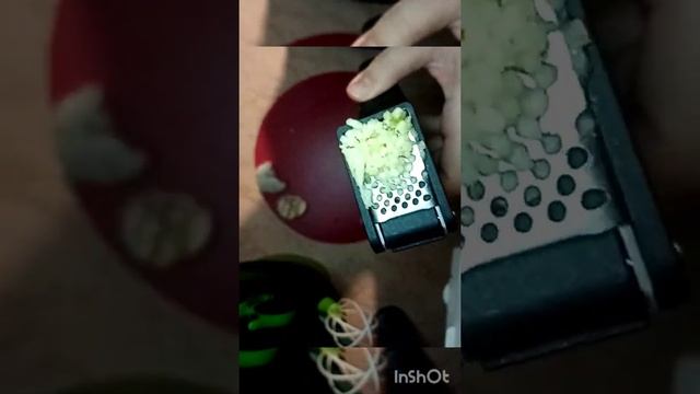 Чесночница Tupperware смотреть онлайн