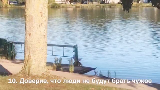 19 причин жить в Люксембурге / Европе смотреть онлайн