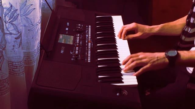 Олег Винник - Нино на синтезаторе KORG PA300 смотреть онлайн