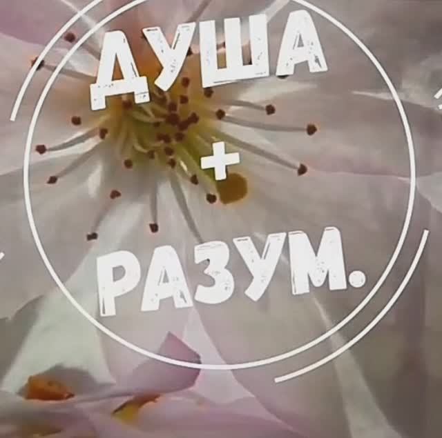 Душа плюс разум. У каждой души есть цель на пути к которой человек обретает счастье..mp4 смотреть онлайн