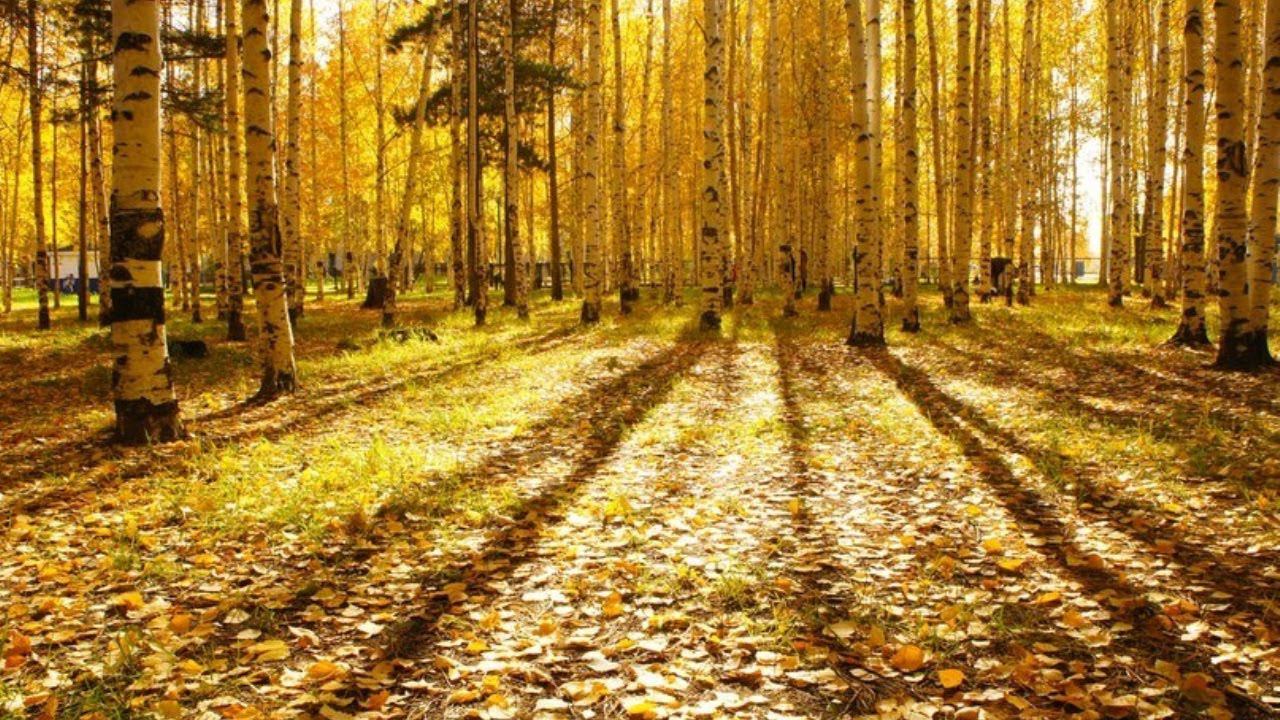 Обыденность и Жизнетворение смотреть онлайн