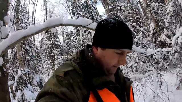Волки добыты прямо за деревней!!!! смотреть онлайн