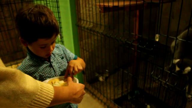 мини-зоопарк на Арбате 16 смотреть онлайн