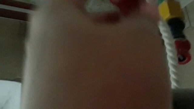 Игрушки для Жако Ромы/Что нужно для попугая Жако!?