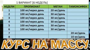 Курс Метан + Тестостерон Пропионат. ПКТ Томаксифен. Курс на массу
