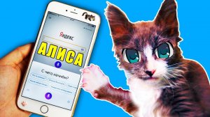 Котомонстр против Алисы 🎁 Волшебные подарки на Новый год!