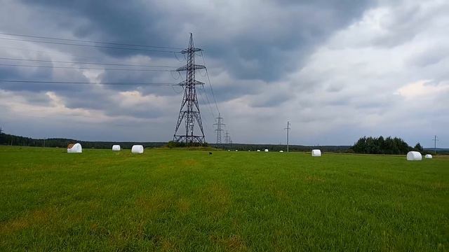 Пес Черныш и вольная воля смотреть онлайн
