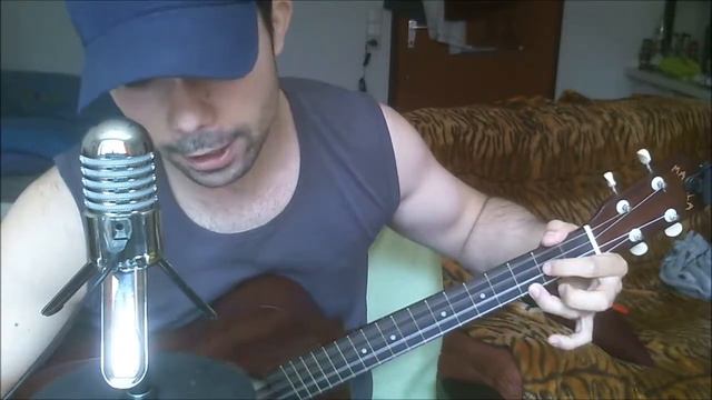 Die Prinzen - Alles nur Geklaut Ukulele Cover смотреть онлайн