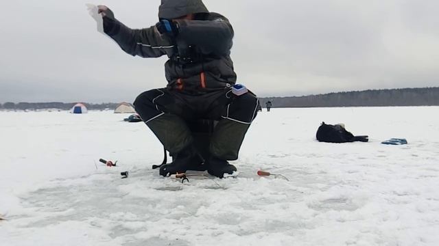 Красновидово. Можайское водохранилище. Весенняя плотва. смотреть онлайн