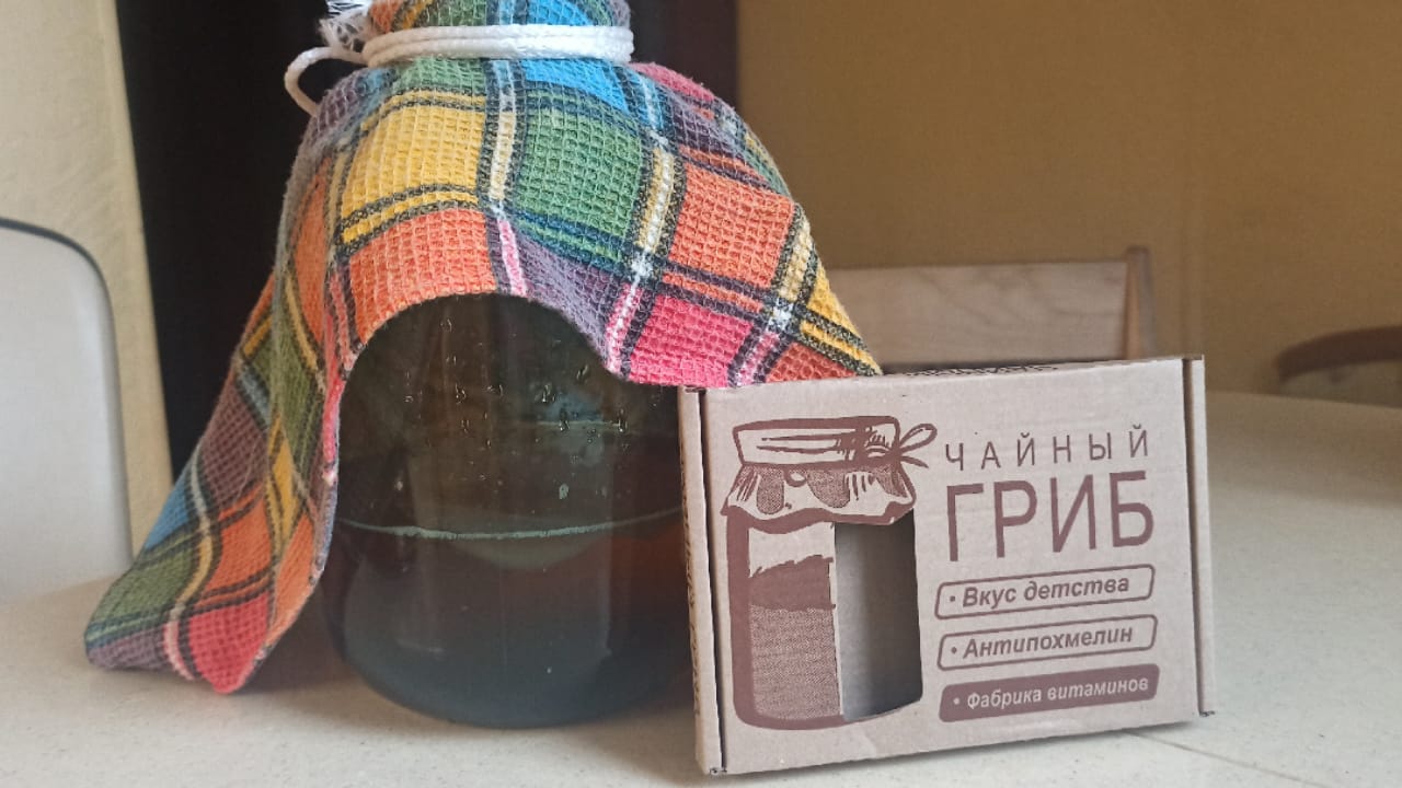 Чайный гриб из Фикс Прайса или Озона. Как сделать Чайный гриб в домашних условиях! Гриб комбуча! смотреть онлайн