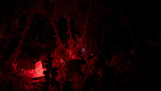 Прохождение Planet Alpha без комментариев
Часть 6