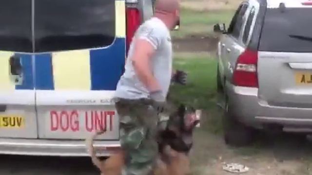 Настоящий кинолог смотреть онлайн