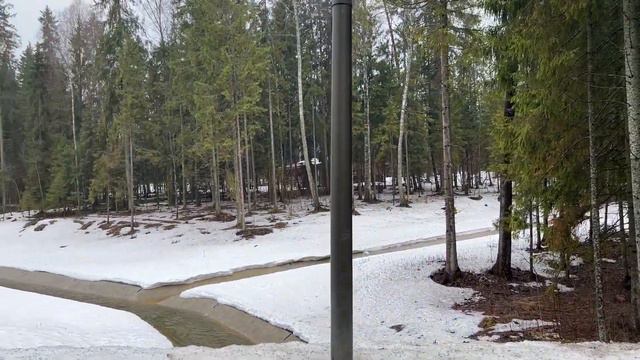 Такая жизнь 0.1| отдых, лес и начало нового смотреть онлайн