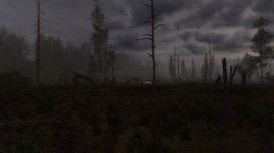 сталкер ВВЗ Путешествие The journey Ход конем найти помощников для боя с бандитами Настичь Гитлера