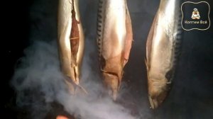 Копчение как бизнес. Какие утери веса в рыбе холодного копчения? Можно ли заработать.