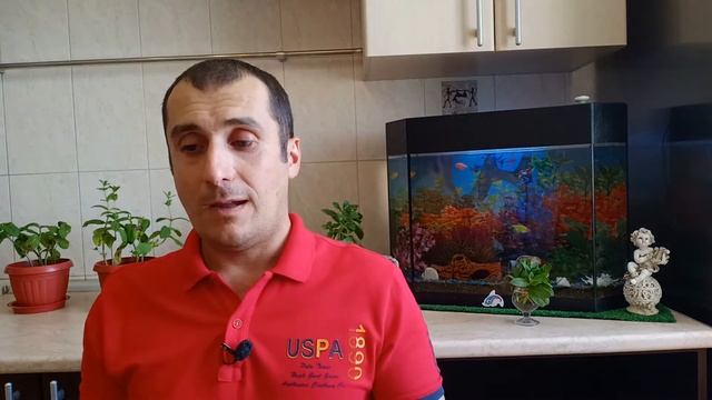 День без гаджетов. День без интернета. Последствия смотреть онлайн