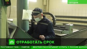 Как работают исправительные центры, где осужденные получают новые профессии. НТВ. Сегодня