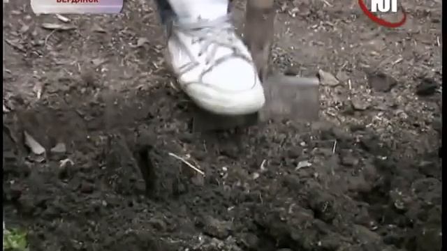 Тимур и его команда возвращаются смотреть онлайн