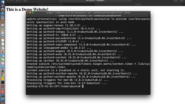 How To Get FREE SSL for your Website with Let's Encrypt on EC2 Ubuntu 18.04 : Hands-on! смотреть онлайн