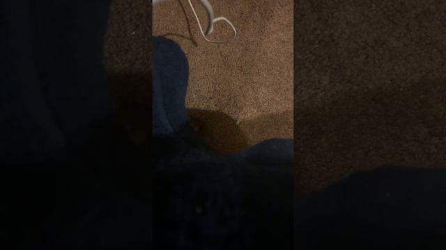 Yamaha MX88 смотреть онлайн