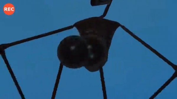 Как снимали А4- СИРЕНОГОЛОВЫЙ