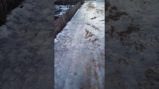 Обращение   к  местной власти посёлка Сухобезводное  2-я часть