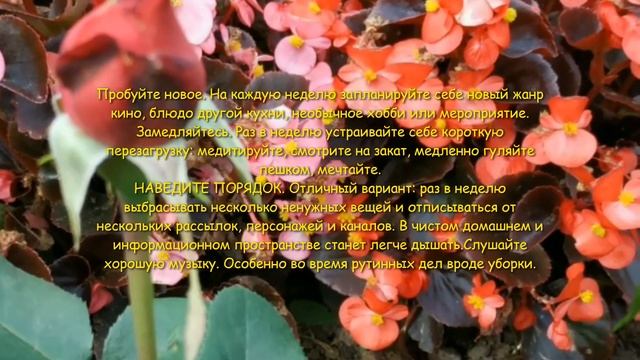 Как изменить свои привычки (полезные привычки меняют #качество жизни) смотреть онлайн