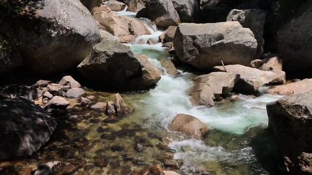 Гастрономическая Фантазия