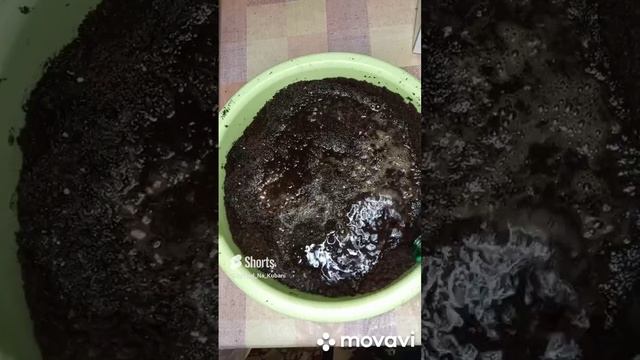 ОБЕЗЗАРАЖИВАНИЕ ПОЧВЫ ДЛЯ РАССАДЫ. ОГОРОД НА КУБАНИ. shorts# смотреть онлайн