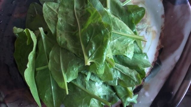 Я мечтаю о морозильной камере. смотреть онлайн
