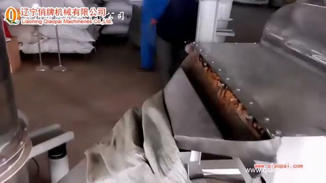 ООО Цяопай ：Оборудование для очистки и калибрования абрикосовой косточки/фундука/миндаля TFXH-500 смотреть онлайн