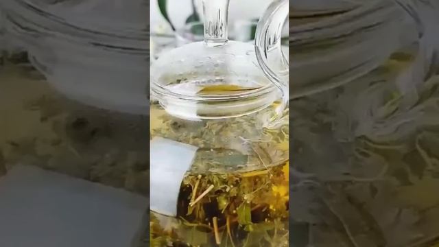 #витамины#чай#польза#туризм#осень#огонь#охота#рыбалка#уборка# смотреть онлайн